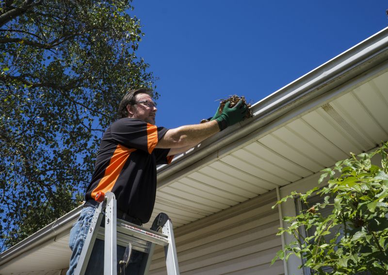 Spring Gutter Cover Service