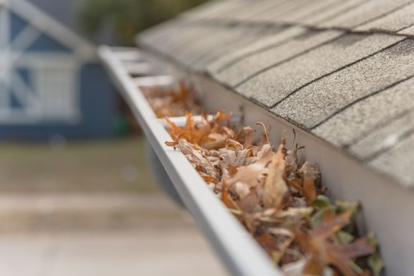 Leaf Barrier Installation in Herndon